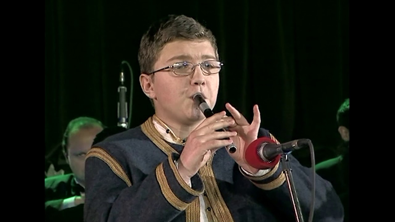 Nebojša Brdarić - Kolo Mileševka