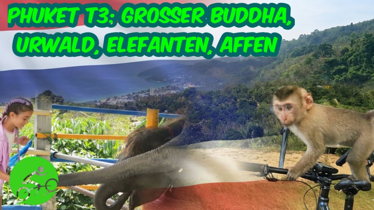🌞 🌴 Phuket 😎 🇹🇭 T3: MTB-Tour zum Großen Buddha, mit Urwald, Elefanten und Affen 🚵‍♂️