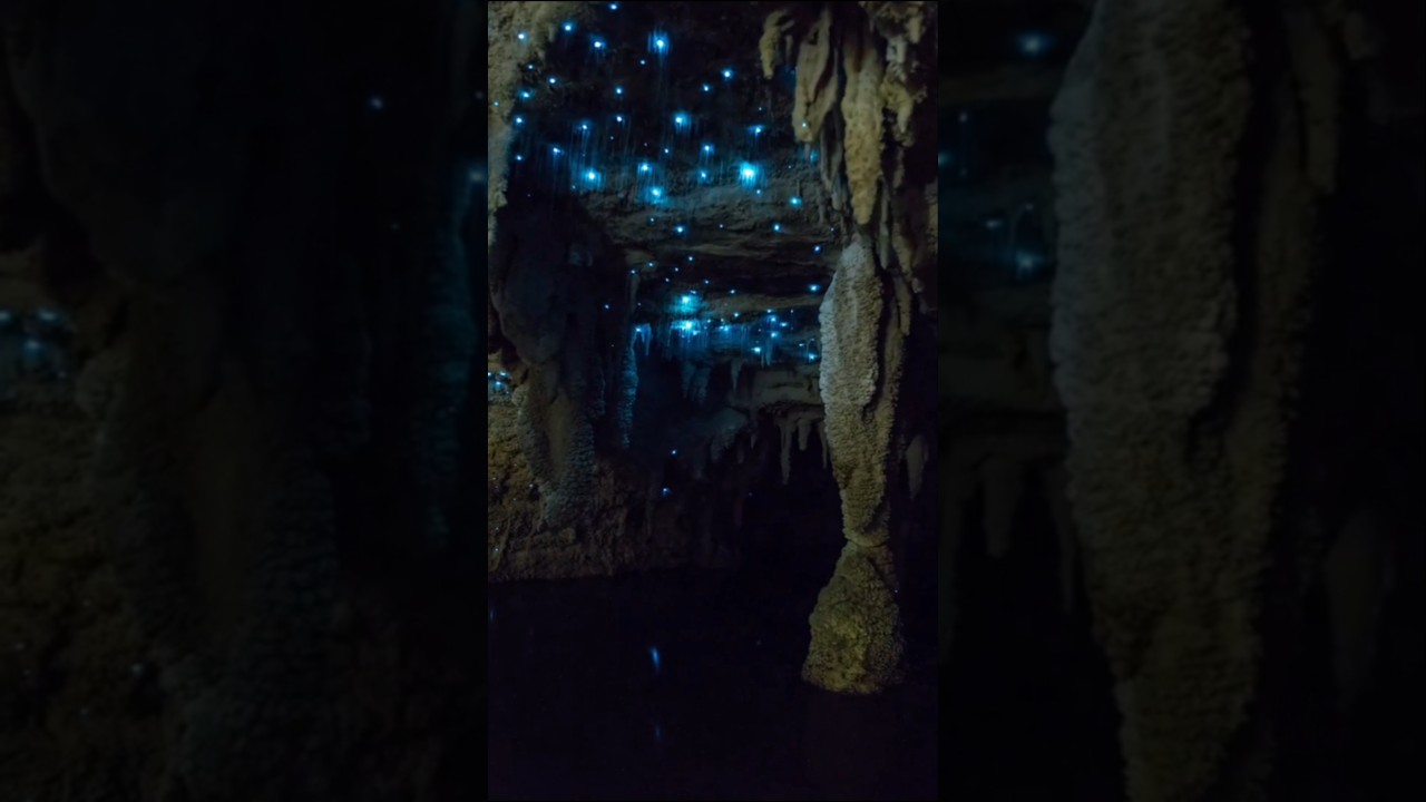 Movile Cave &ndash; the secret world hidden for 5 million years #MovileCave #WorldMysteries #Facts