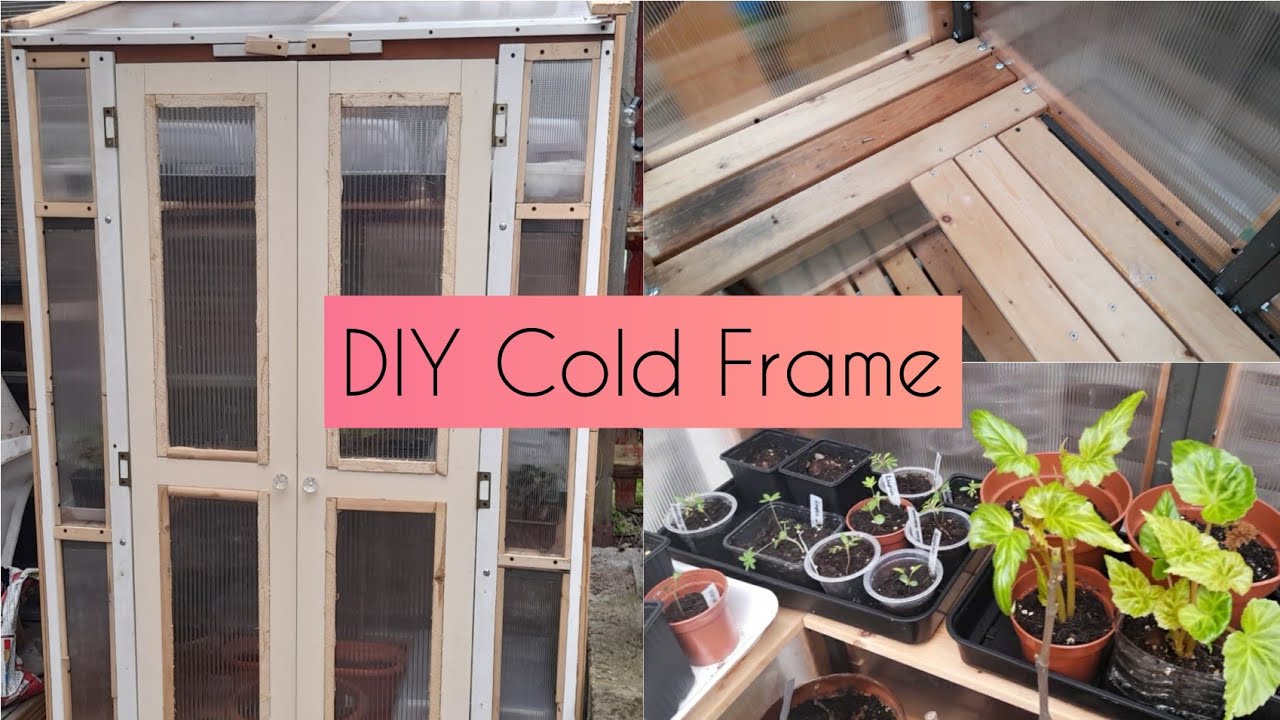 DIY Walk in Cold Frame: Dad built me a cold frame for FREE from recycled materials ♻️