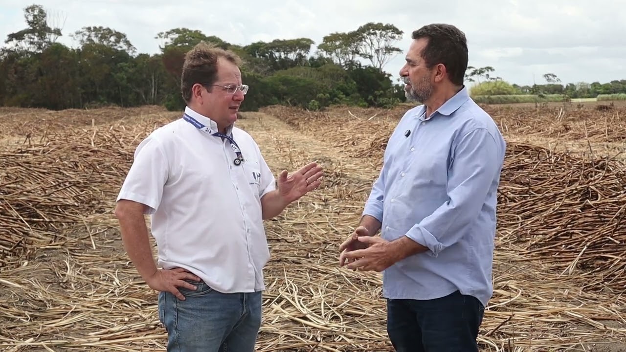 Usina tem produtividade de 140 tonelas por hectare em área com irrigação por gotejamento
