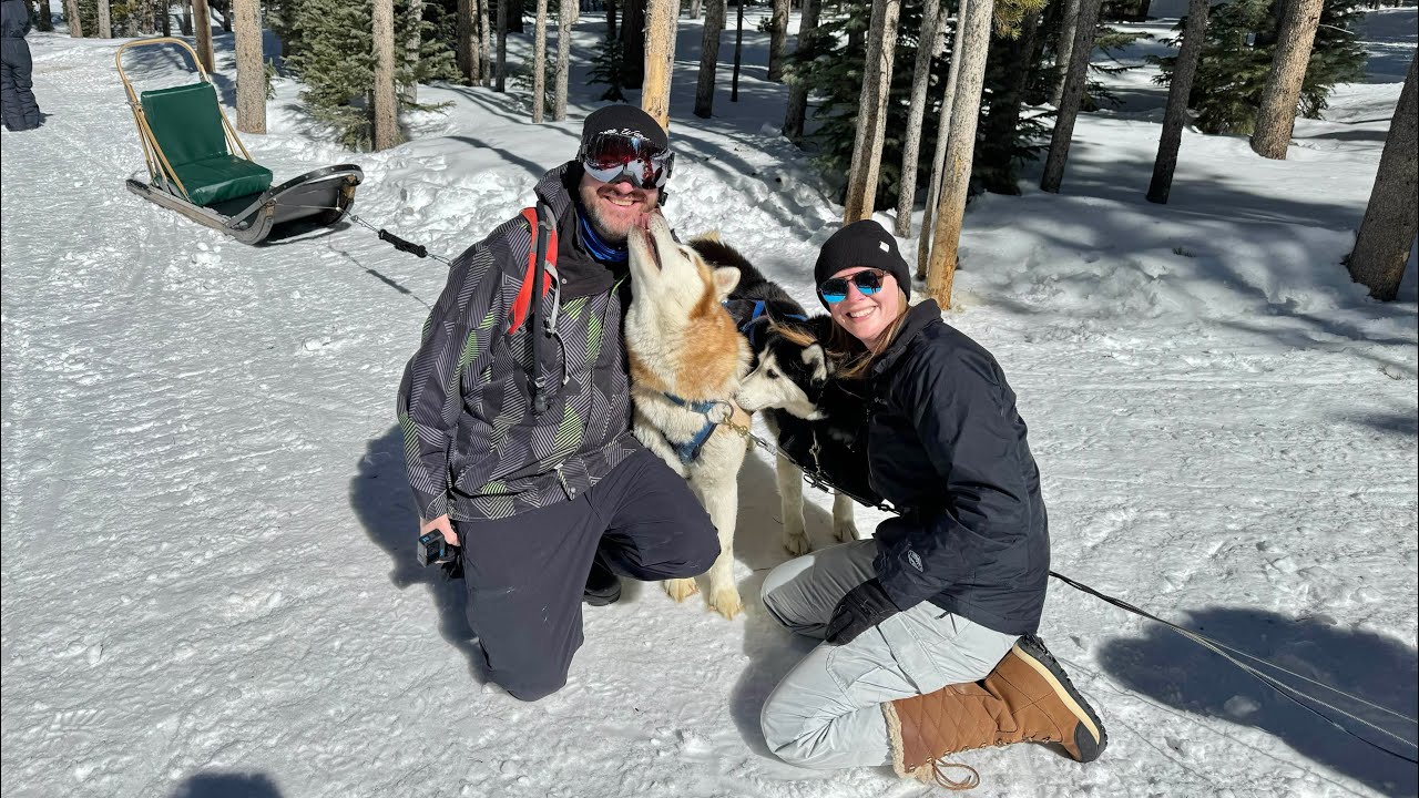Dog Sledding - Breckenridge, Colorado - 4K - Good Times Adventure Tours