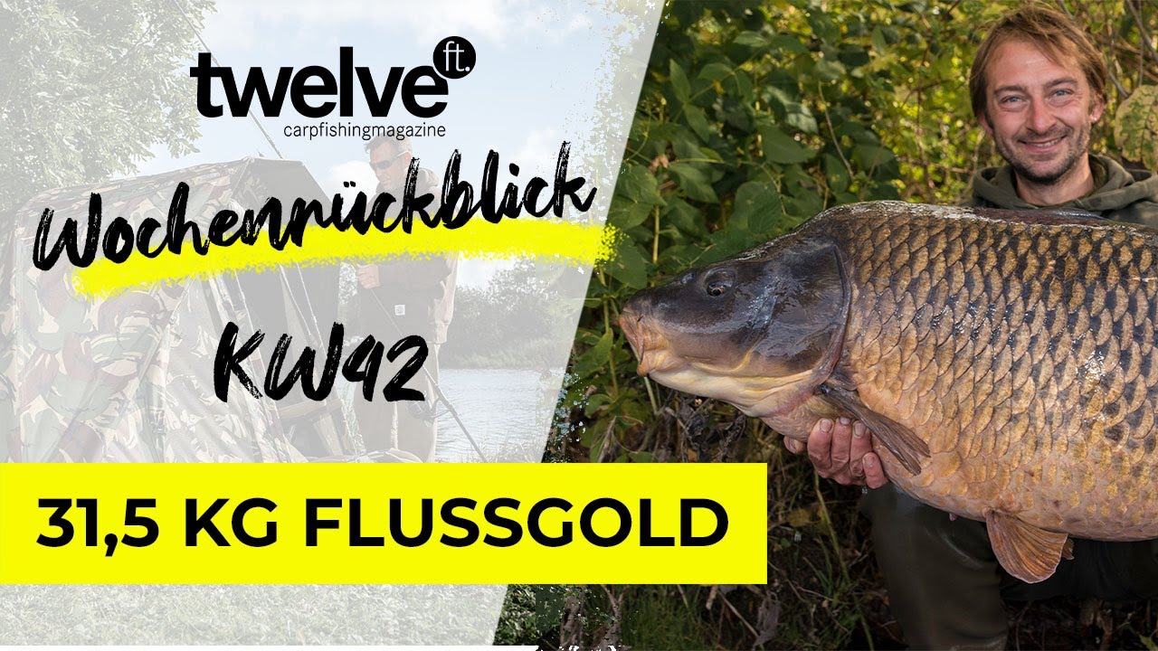12ft Mag Wochenr&uuml;ckblick KW42 | 25 Kilo Bait-Gewinnspiel | 31,5 Kilo Flusskarpfen | Tempest X
