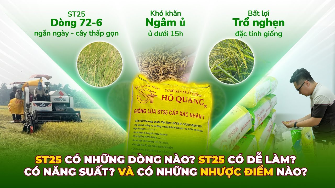 ST25 d&ograve;ng 68-10 c&ograve;n sản xuất kh&ocirc;ng? Mua ở đ&acirc;u? Nhược điểm chung của ST25  d&ograve;ng 72-6  #tubanluagiong 