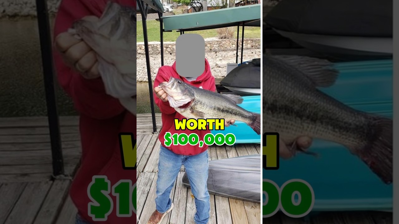 THEY ATE A $100,000 BASS?!?!? 😱😱😱 #fishing #outdoors #shorts