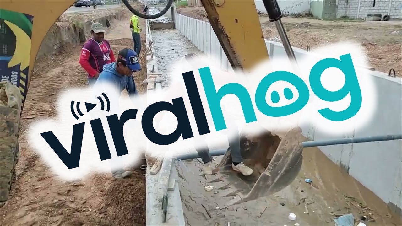 Construction Crew Rescues Dog From Irrigation Canal || ViralHog