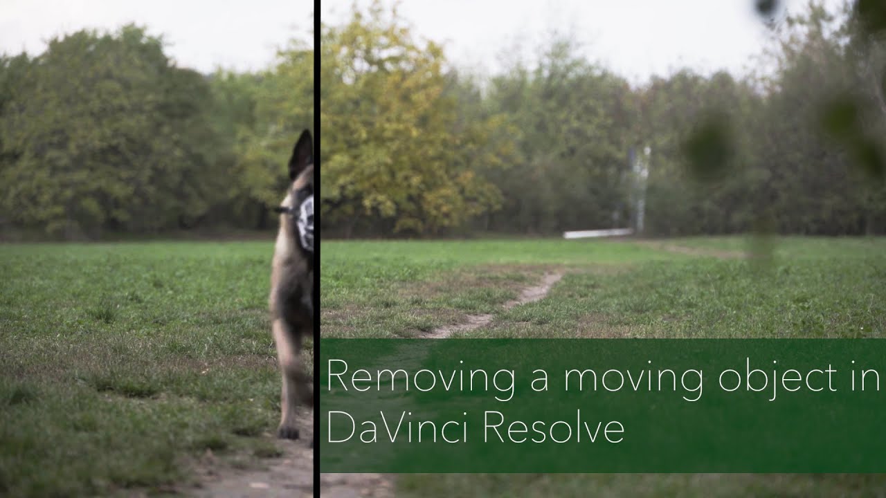 Remove moving objects from videos in DaVinci Resolve ( Fusion tab)