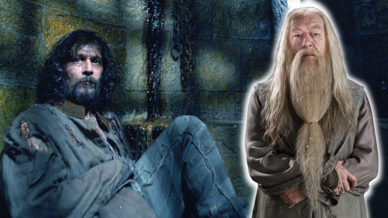 Wusste DUMBLEDORE, dass SIRIUS unschuldig war?! | Ich beantworte EURE Harry Potter Fragen