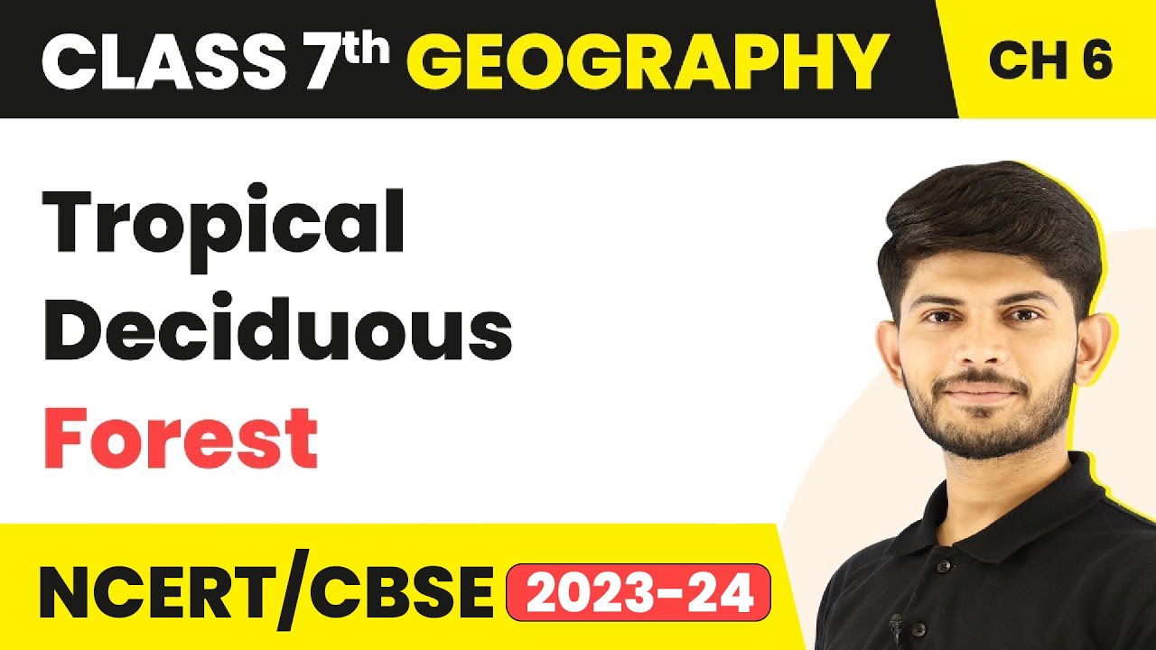 Tropical Deciduous Forest - Natural Vegetation and Wildlife | Class 7 Geography Chapter 6