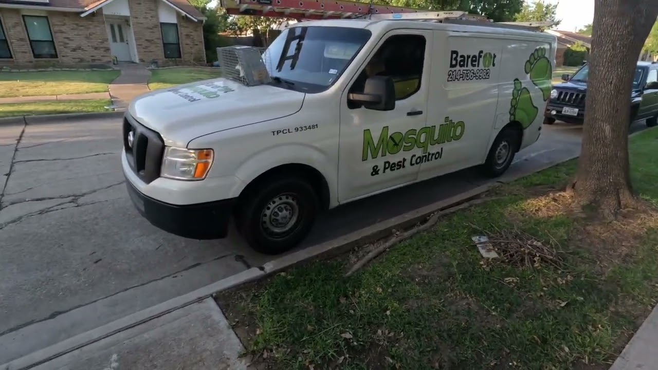 Skunk removal 🤢
