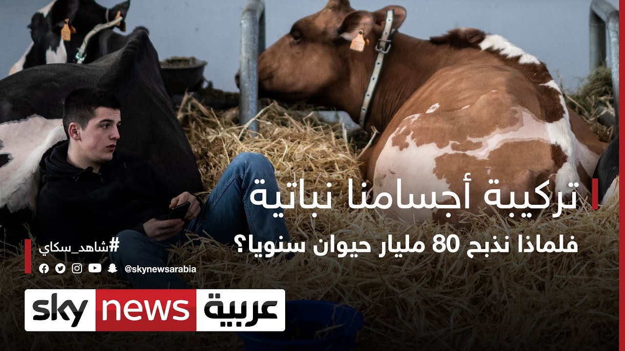 تركيبة أجسامنا نباتية.. فلماذا نذبح 80 مليار حيوان سنويا؟