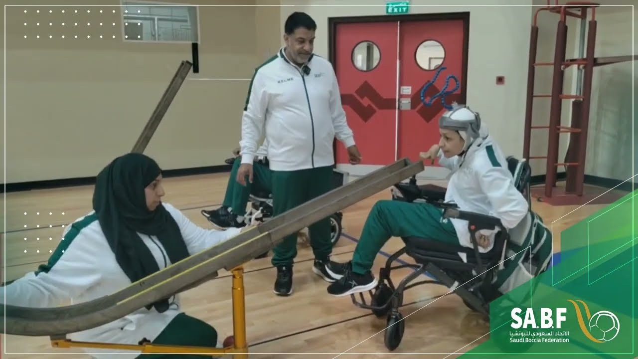 ‏شرح انواع التصنيف للعبة البوتشيا 