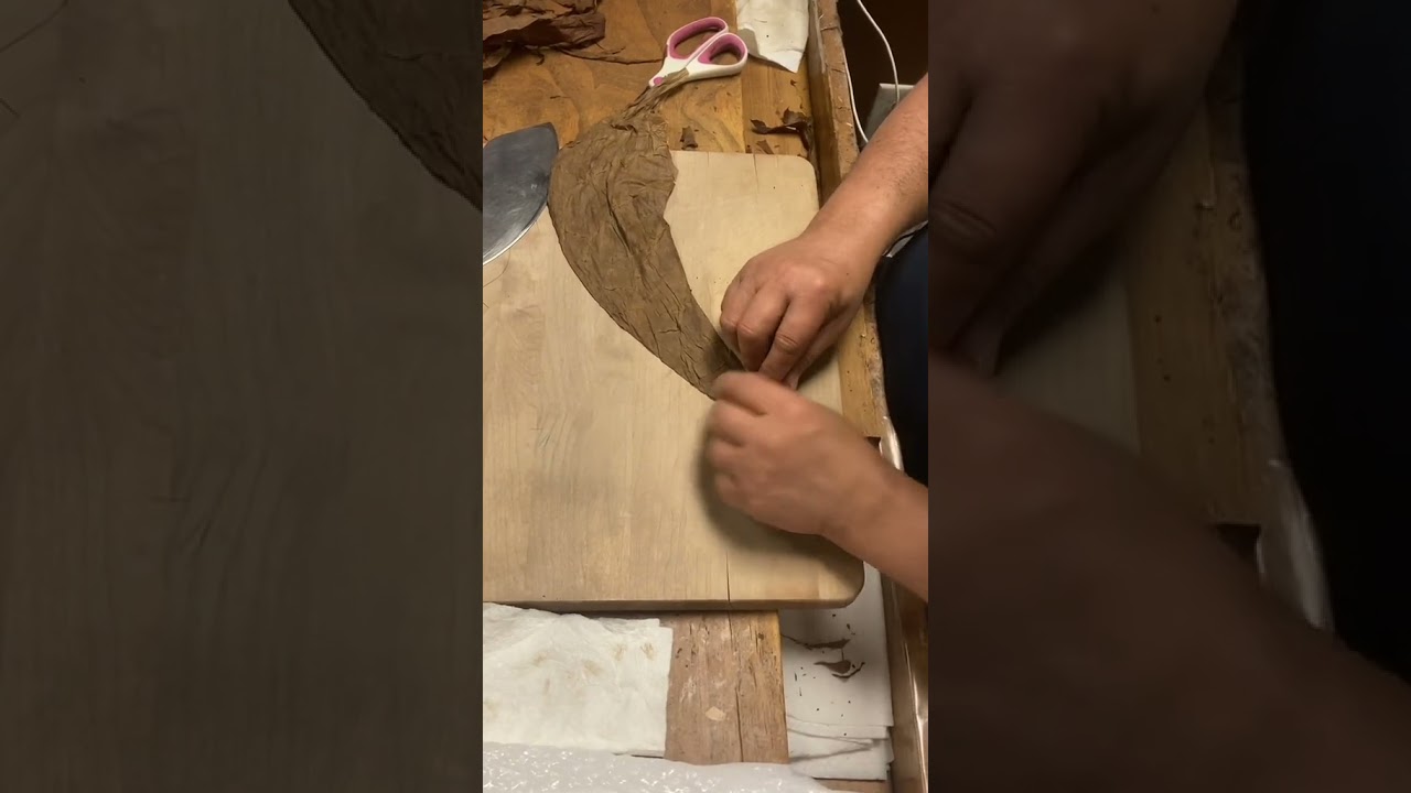 Cutting, stretching, and rolling the Ecuadorian Sumatra leaf 🤠🍂💨