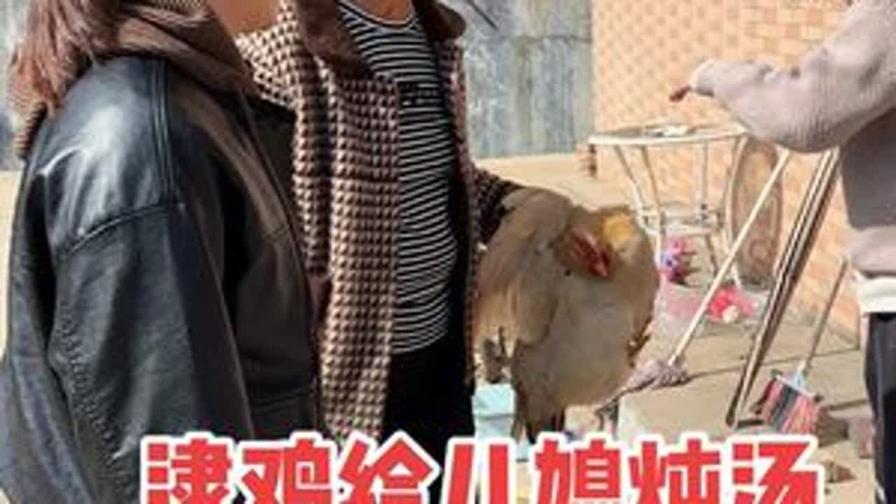 看着儿媳逐渐消瘦，婆婆心疼不已，出门逮了鸡就拿来炖汤 #我的乡村生活 #婆媳 #家庭日常 #农村欢乐多