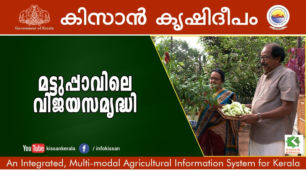 Kissan Krishideepam Episode - 1018 - State award winning (2022) terrace farming by Vijayabhaskar