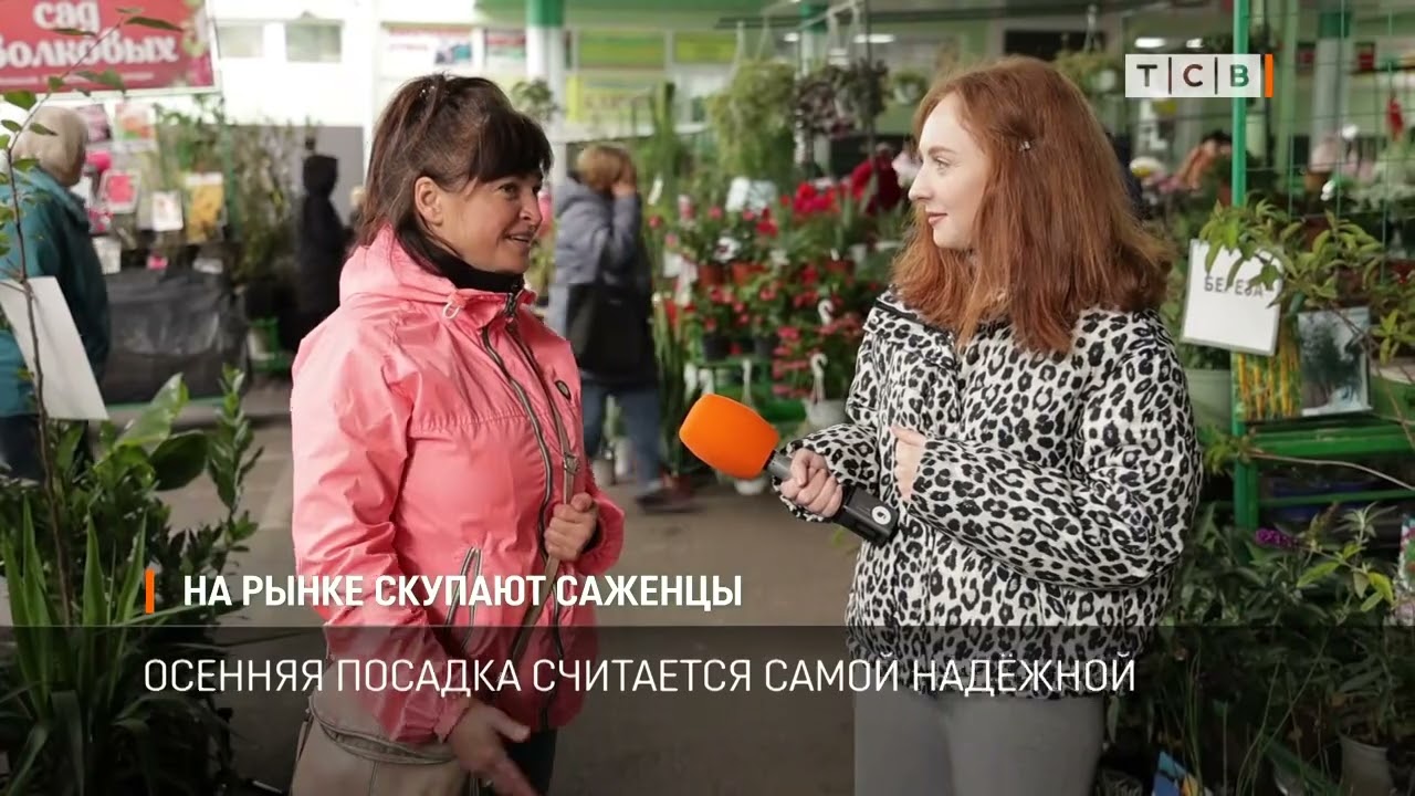 На рынке скупают саженцы