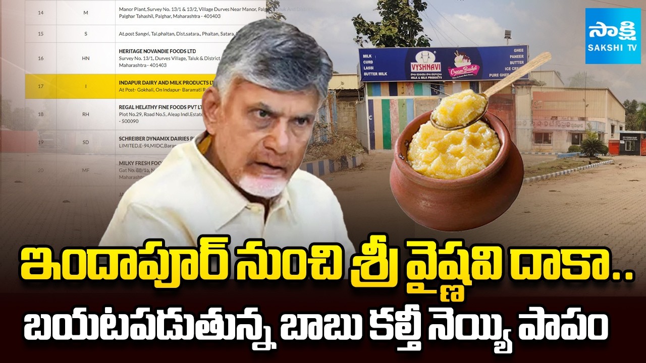 బయటపడుతున్న బాబు కల్తీ నెయ్యి పాపం | Chandrababu Adulterated Ghee Scam in TTD Laddu | Sakshi TV