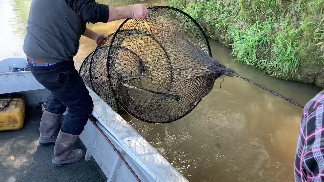 Hoop Nets South Louisiana
