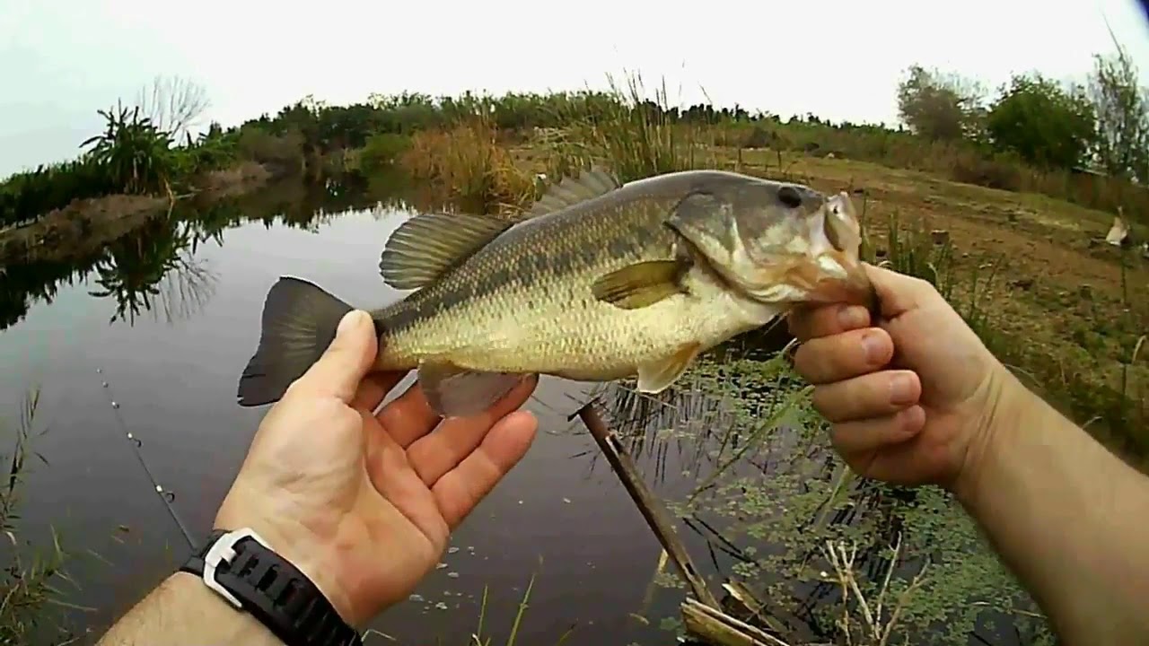 Mi primer video y rompo la caña