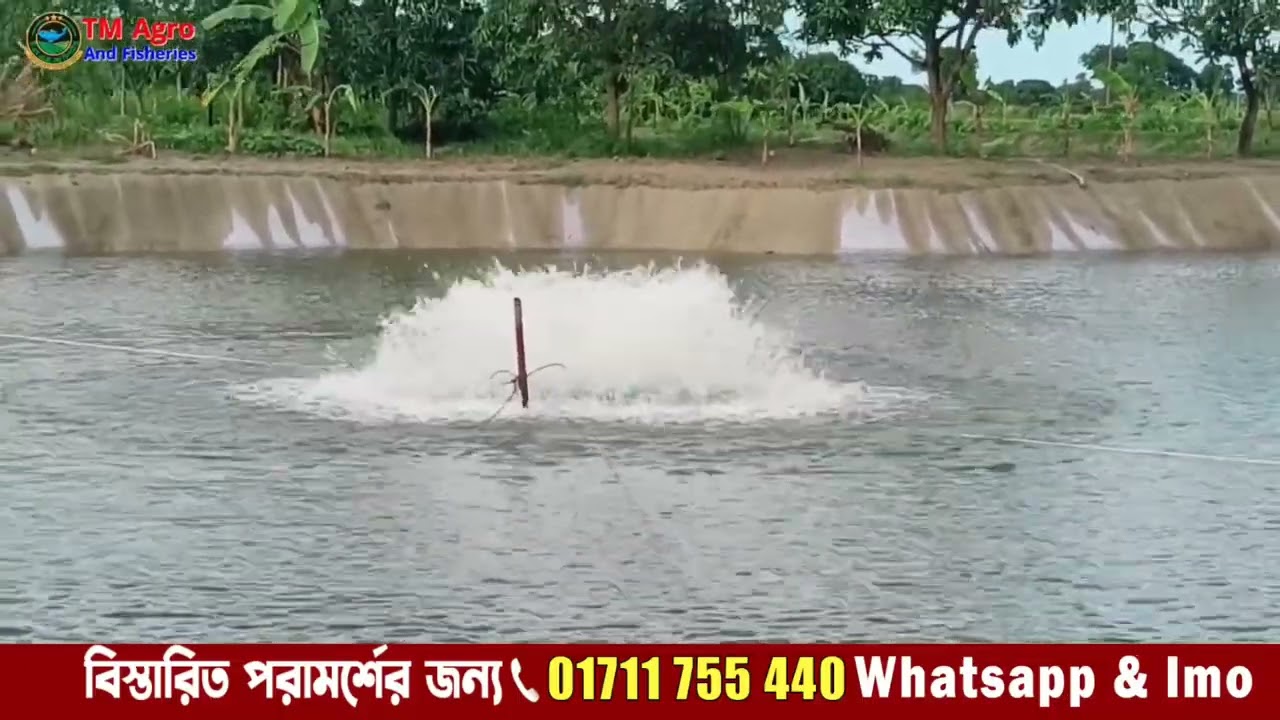 ওয়াটার কুলিং এয়ারেটর এর বৈশিষ্ট্য || মাছের অক্সিজেন মেশিন || Water Cooling Aerator।।01711755440