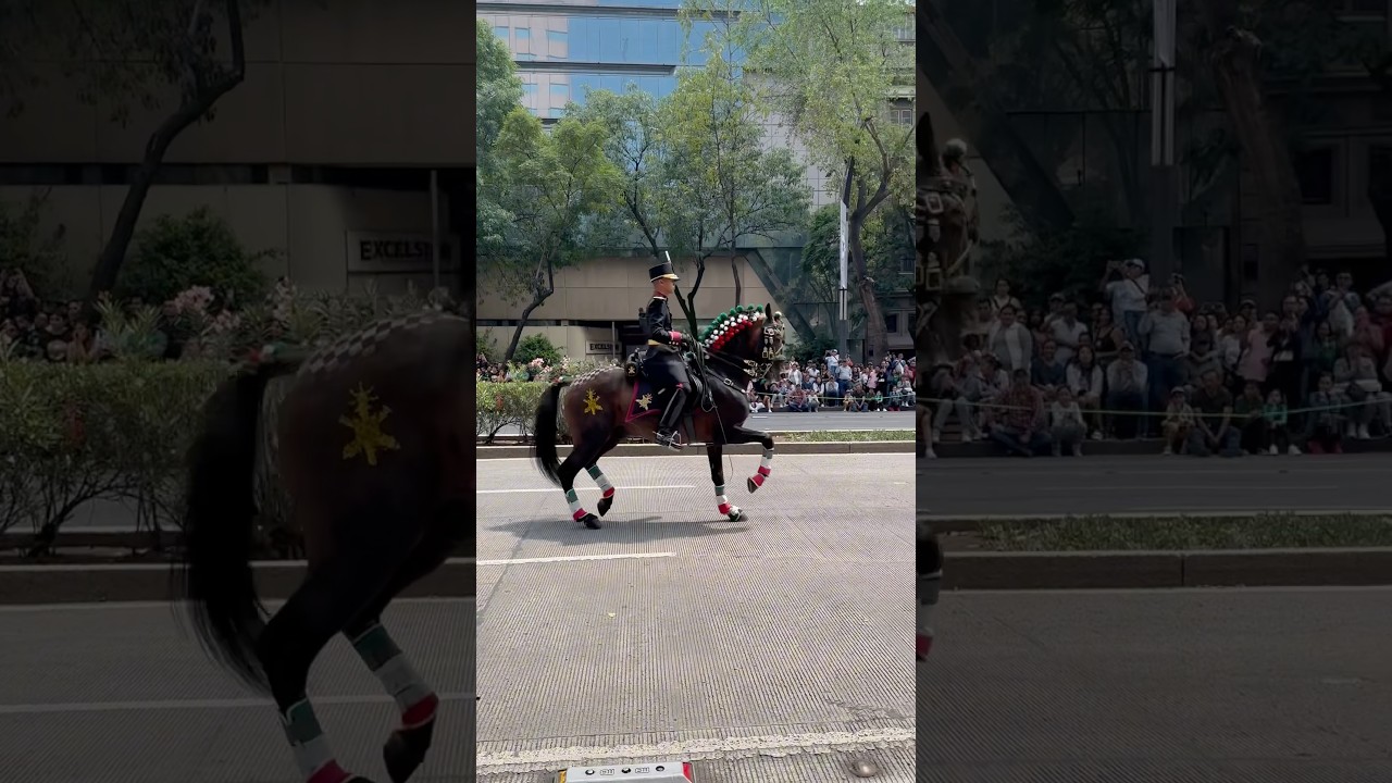 16 DE SEPTIEMBRE 2024 DESFILE MILITAR DE LA CDMX😊🥹🇲🇽✅#cdmx #desfilemilitar #2024