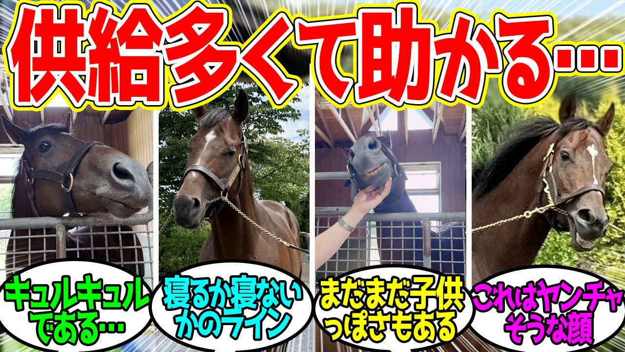 ドウデュース ← 夏のめしくれ（不定期更新）に対するみんなの反応！【競馬 の反応集】