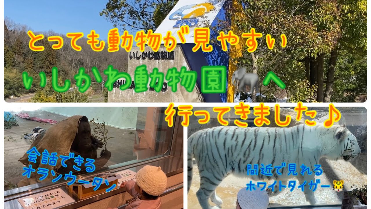 とっても動物が見やすい、いしかわ動物園🐘へ行ってきました♪