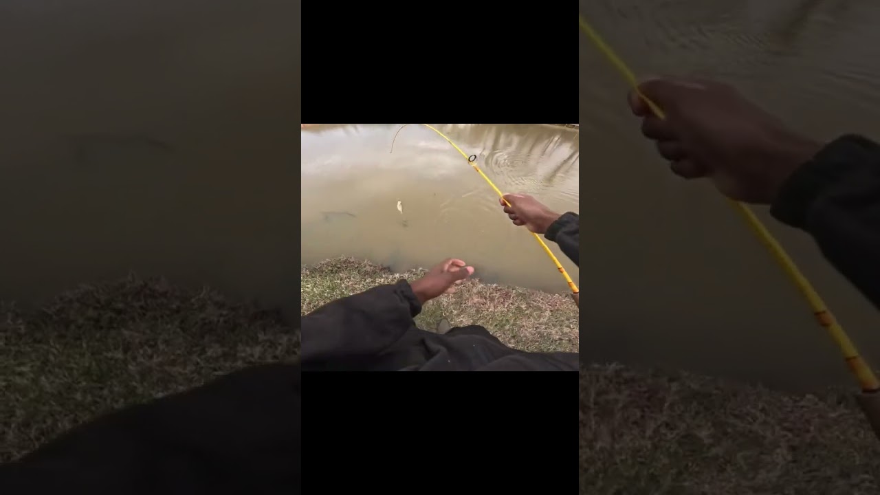BEST Crappie LURE FOR COLD WEATHER❄️‼️(CHECK OUT LINK⬇️⬇️)#crappiefishing#micro#shorts