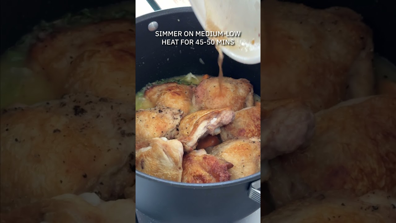 Chicken Dumpling Stew 🥘