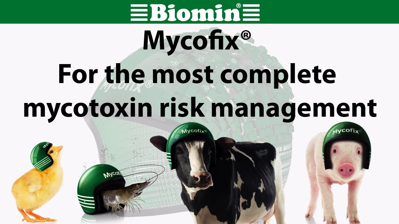 Mycofix® - For the most complete mycotoxin risk management
