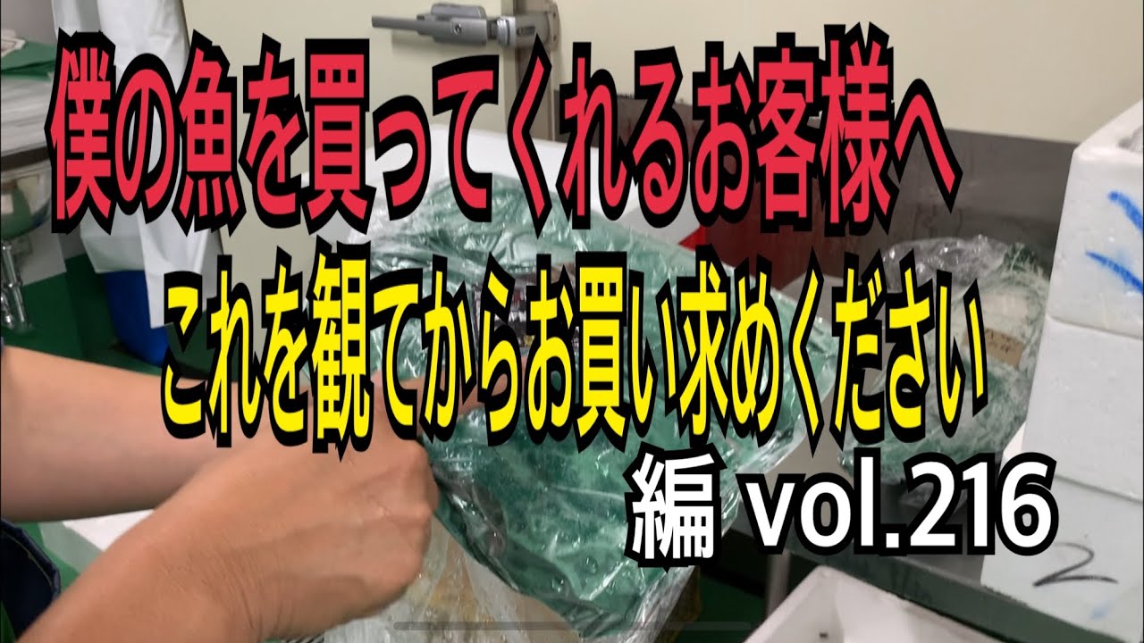 これを観てからお買い求めください編 vol.216