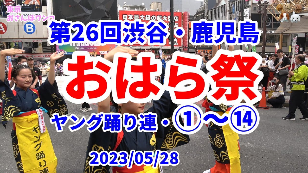 【渋谷おはら祭り①～⑭】４K　その１　渋谷おはら祭は５４チーム総勢2000人。ヤング踊り子連と１～１４番と反対車線もタイミングでご紹介。渋谷音頭とおはら節の２曲に街全体が踊りで包まれます。チャプター付