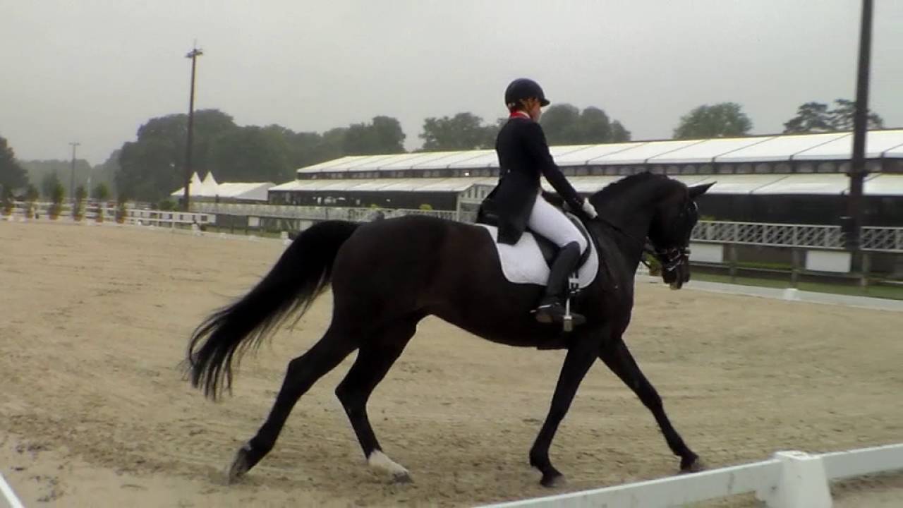 🎠 Haras de Jardy concours 🎠