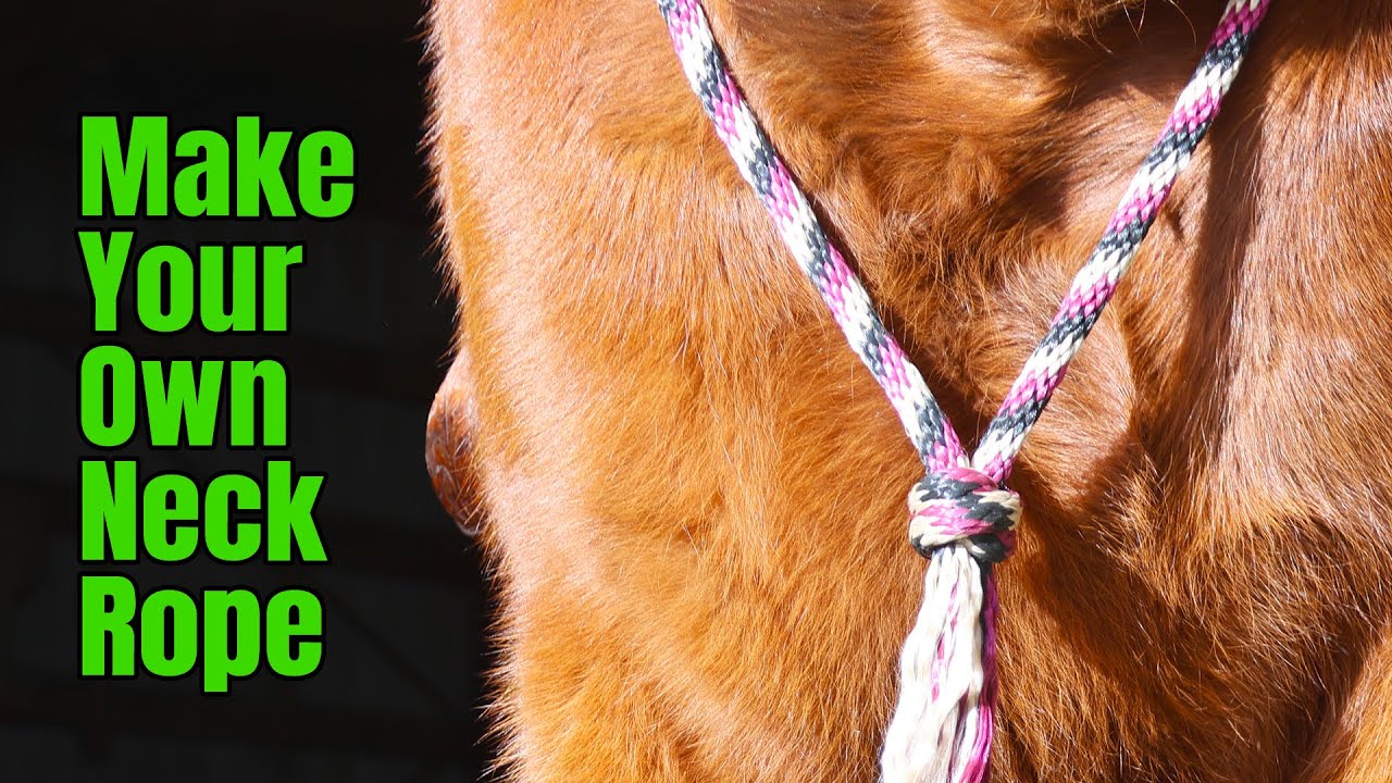 How to make a Neck Rope for Bridleless Riding or Training your Horse | Tying a Matthew Walker Knot