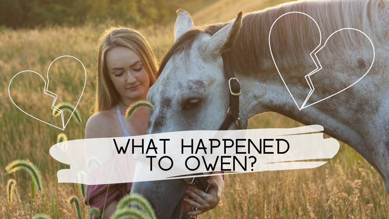 WHAT HAPPENED TO MY HORSE?!