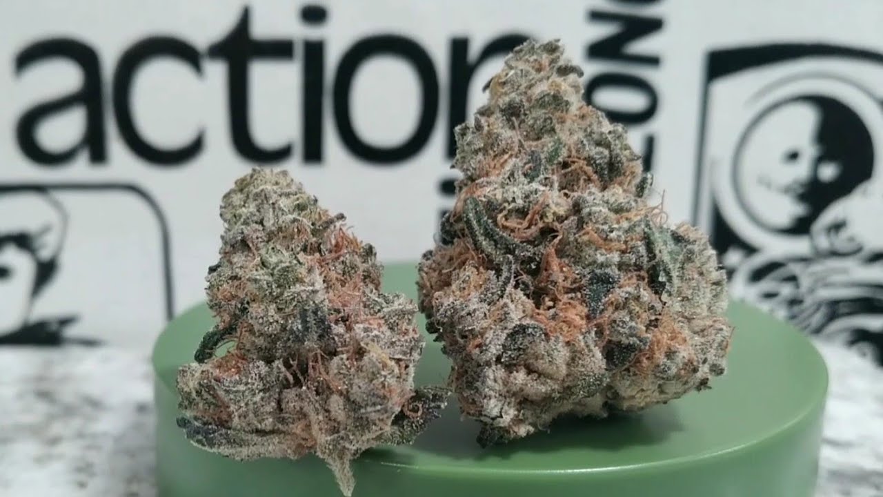 Billy Ocean | Hybrid | Weed Review 