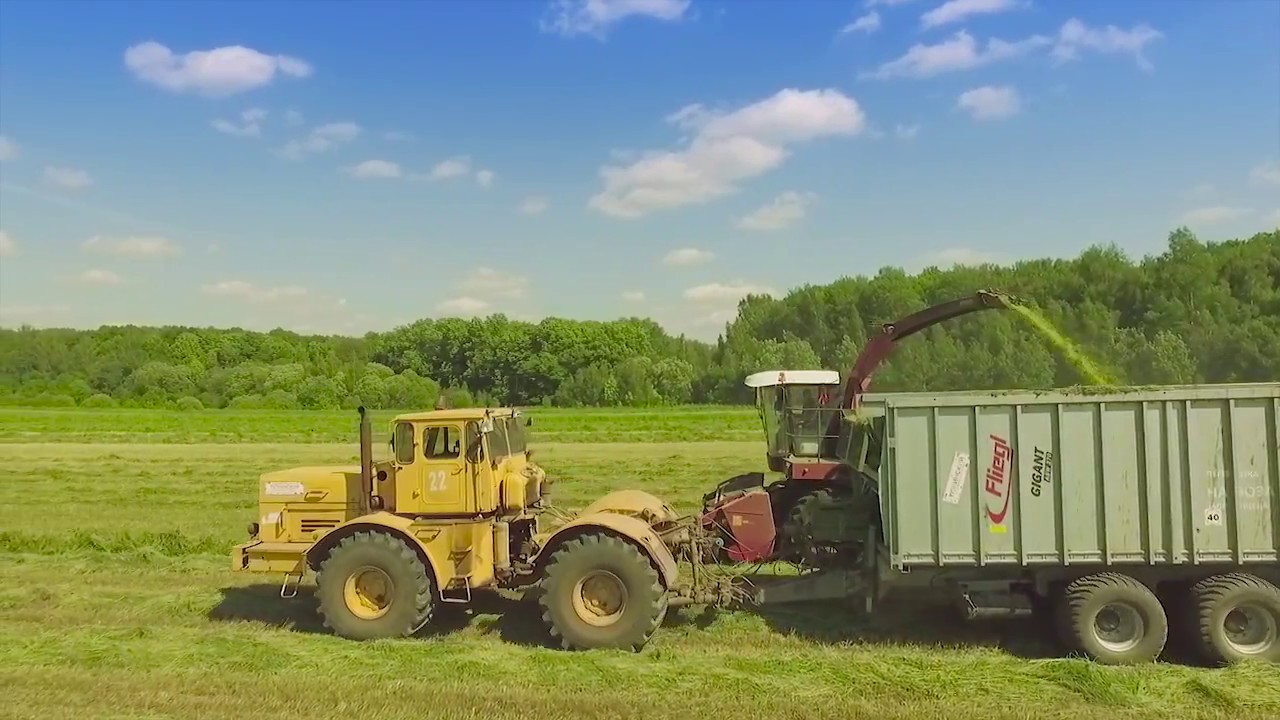 Заготовка сенажа | Кировец К-700А, ПАЛЕССЕ FS80-5,  Fliegl Gigant, Krone Swadro