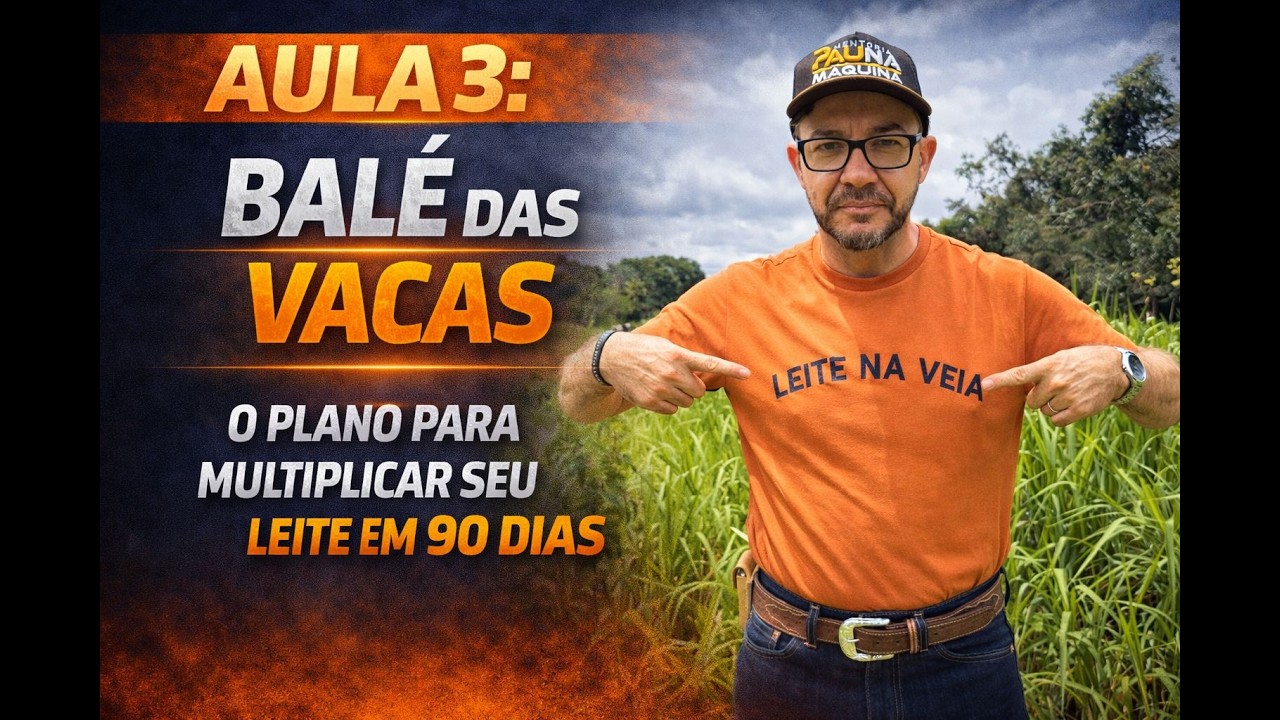 AULA 3: BALÉ DAS VACAS - O PLANO PARA MULTIPLICAR SEU LEITE EM 90 DIAS