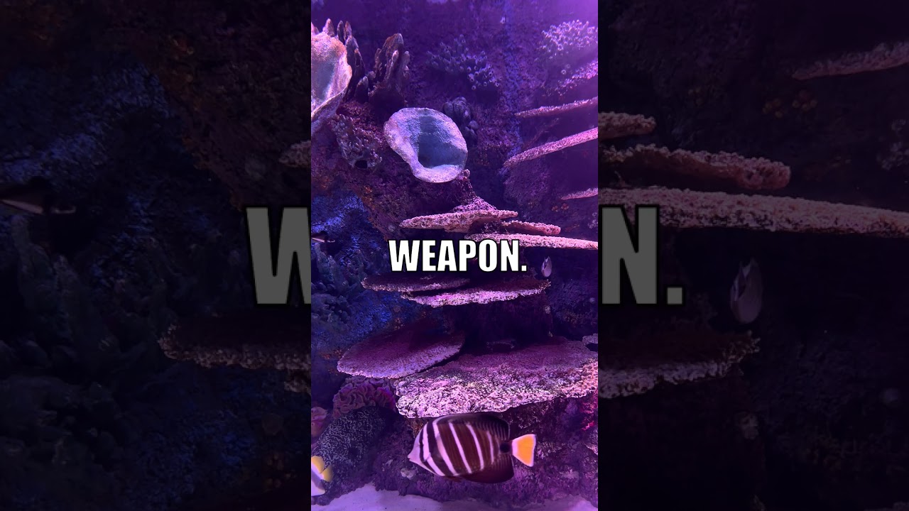 Bone-Eating Worms & Bioweapons?!