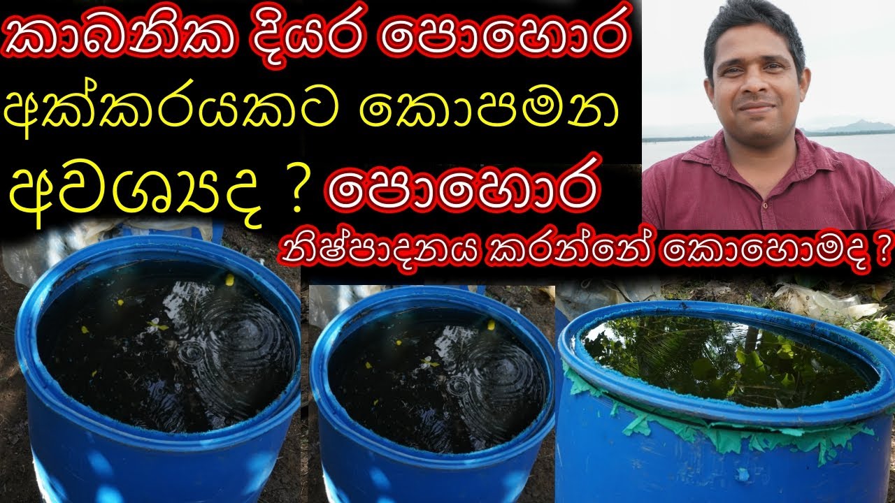 කාබනික දියර පොහොර  kabanika diyara pohora How to make organic liquid fertilizer diyarapohora hadanne