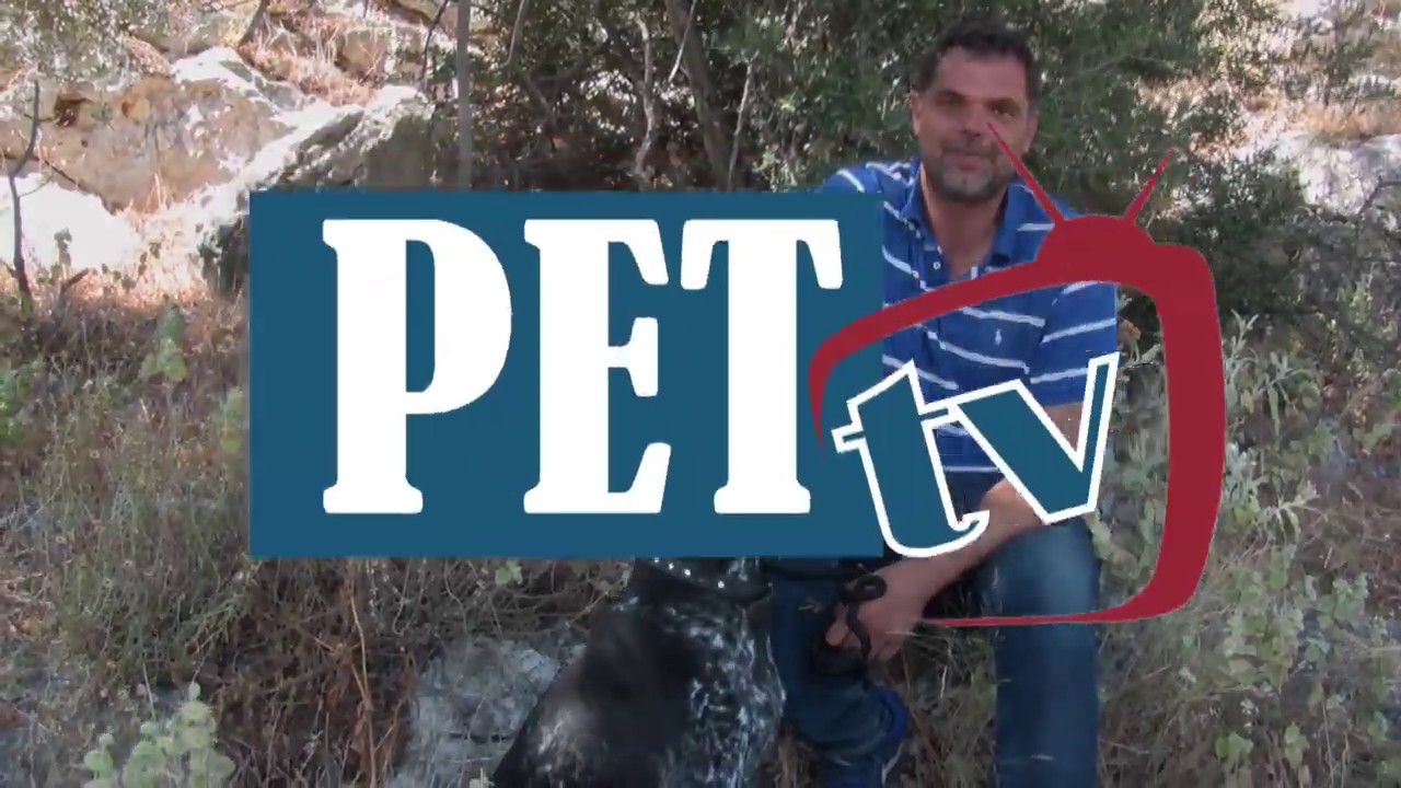 Ο Δημήτρης Παπανικολάου και το αγαπημένο του Κούρτσχααρ❗