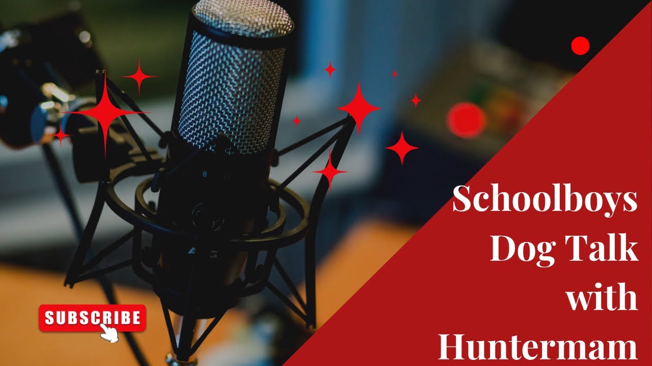 Schoolboy's Dog Talk with Hunterman