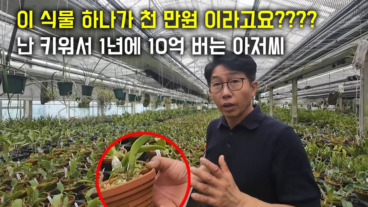 난 키워서 1년에 10억(매출)을 버는 50대 아저씨ㄷㄷ