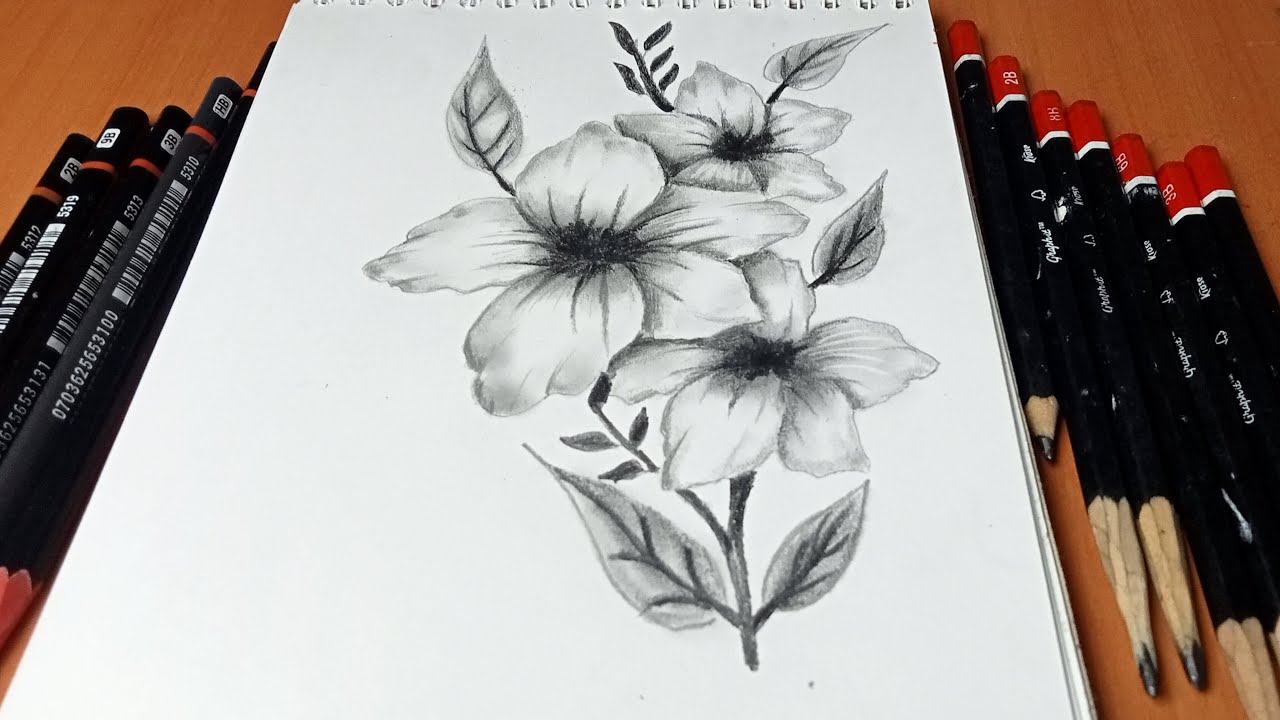 كيفية رسم زهرة بالرصاص | الرسم بالرصاص سهل | رسم بالقلم الرصاص للمبتدئين