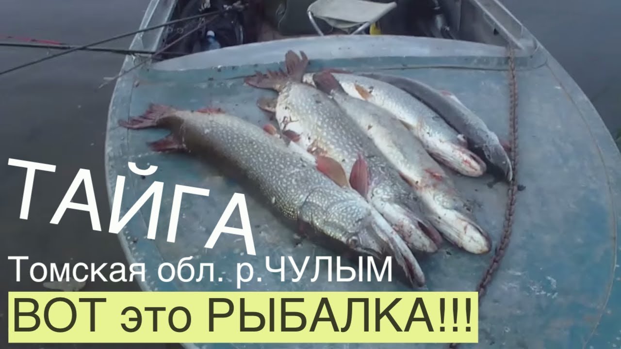 Рыбалка 🎣 на реке Чулым 2010 год 🐟