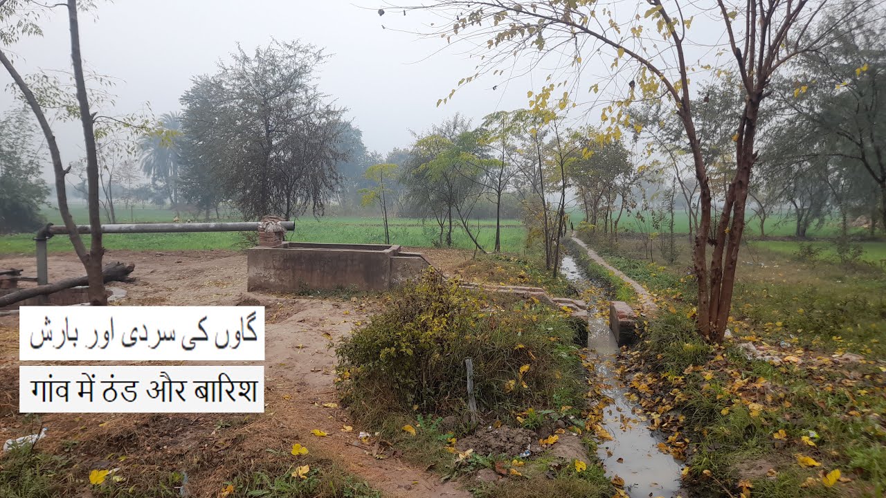 Winter season and rainy day in Punjab | very cold weather in village when raining 🌧 | Village 120