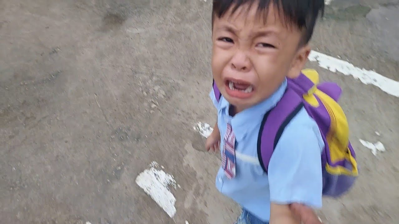 Chuột Được Cha Đưa Đi Học Mà Bữa Nay Khóc Nhẹ Thôi #meconnhachuot #chuotdihockhocnhe