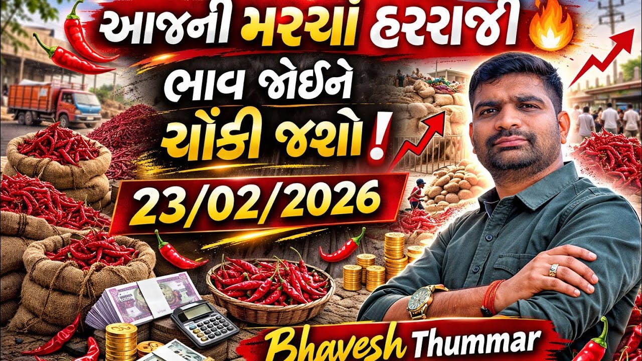 સૂકા મરચા ના બજાર ભાવ l 23/02/2026 l ગોંડલ માર્કેટયાર્ડ  l Bhavesh Thummar l Gondal Apmc #trending 