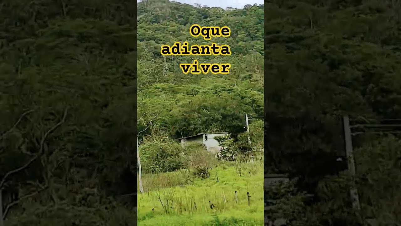 oque adianta viver na cidade # agora cidade do interior #