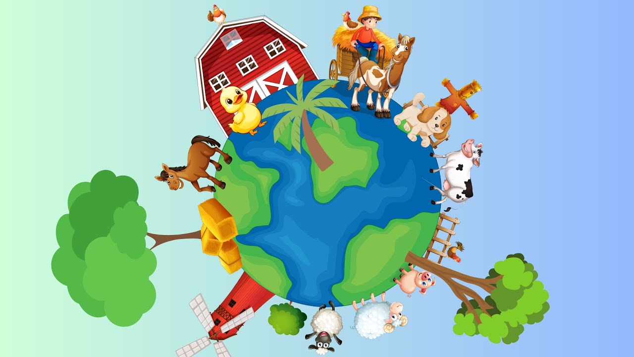 Learn farm animals | Farm animal for nursery | Preschool farm animal | Fun fun with farm animal